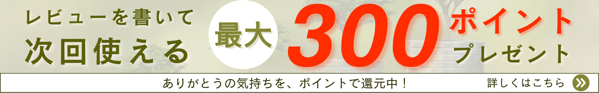 レビューを書いて次回使える